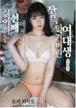 韩国剧集在线观看 检方的天平 海报