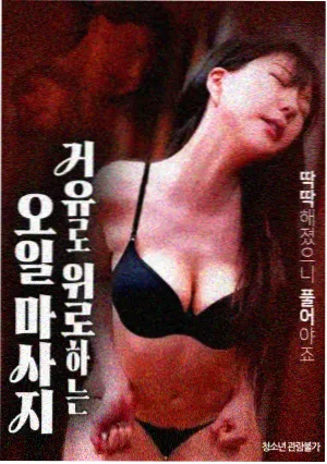 韩国爱情电影 迷雾中的她 海报